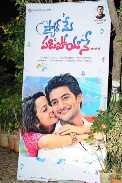 Pyaar-Mein-Padipoyane-Audio-Launch